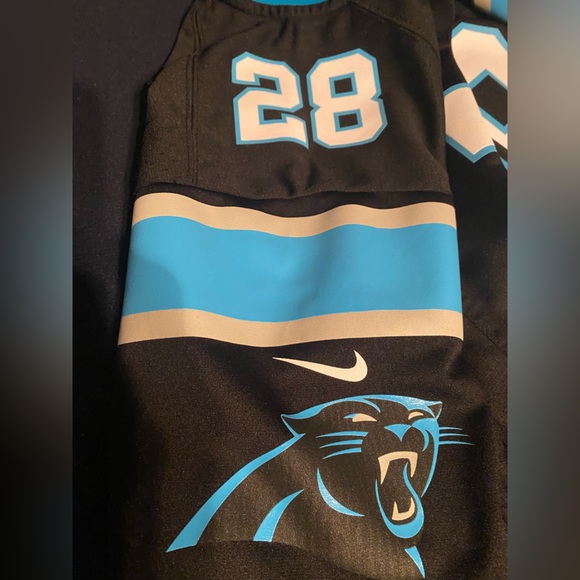 Carolina Panthers #28 Jonathon Stewart - Picture 7 of 7